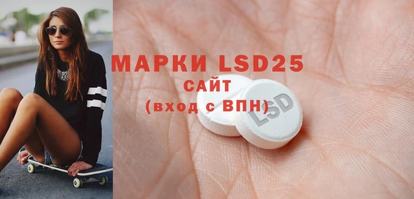 сатива Коряжма