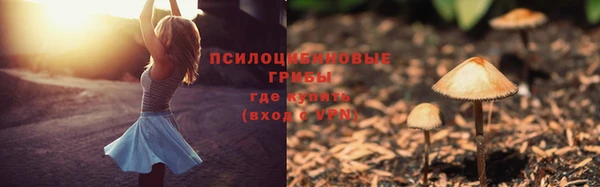 мескалин Козловка