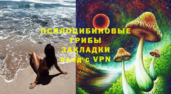 трава Козельск