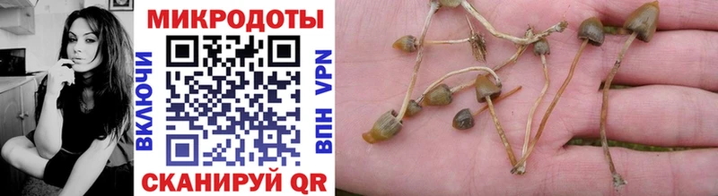 Купить где  Дмитриев  Псилоцибиновые грибы мухоморы 